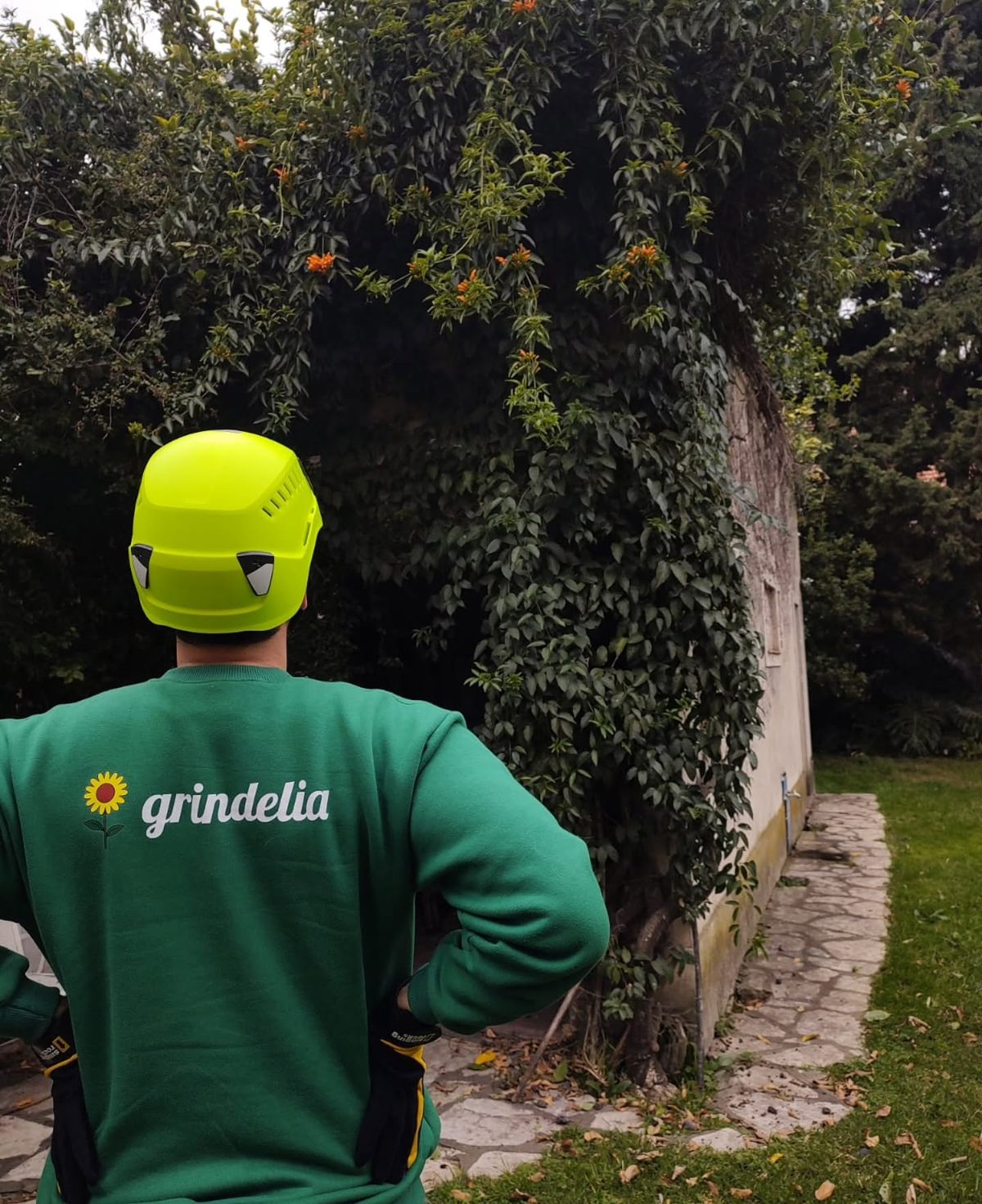 Un integrante de Grindelia, de espaldas, con casco y el buzo del estudio frente a un muro cubierto de enredaderas
