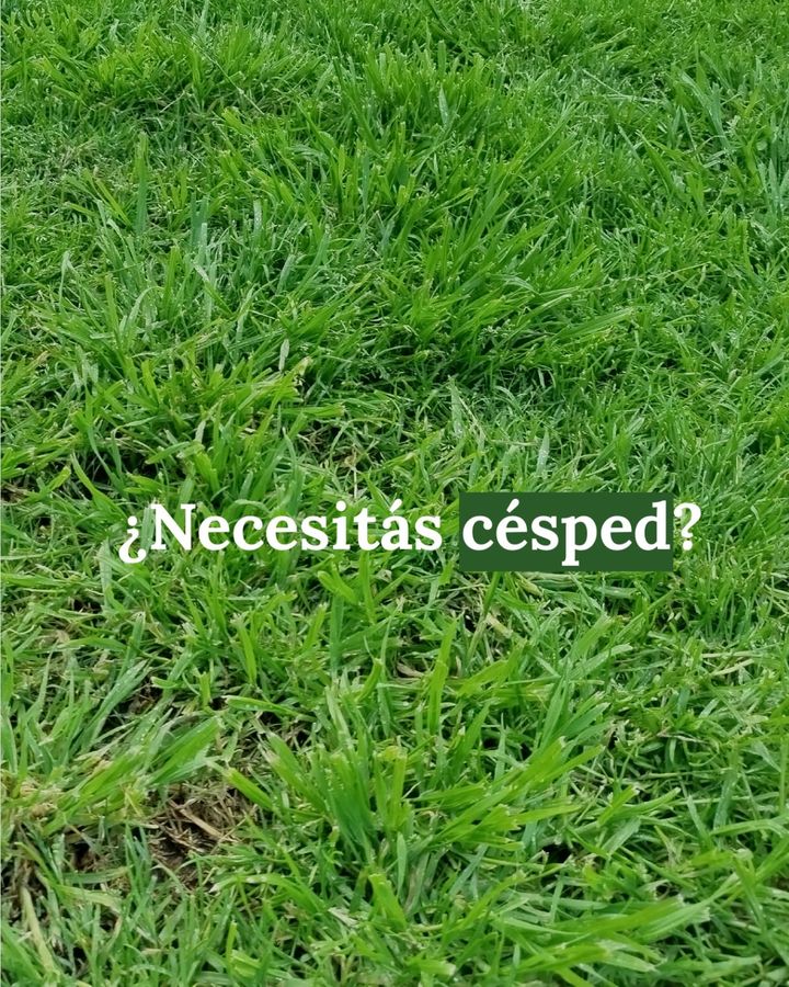 Césped con la pregunta ¿Necesitás césped?